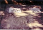 Image34.jpg