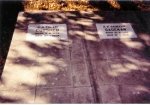 Image35.jpg